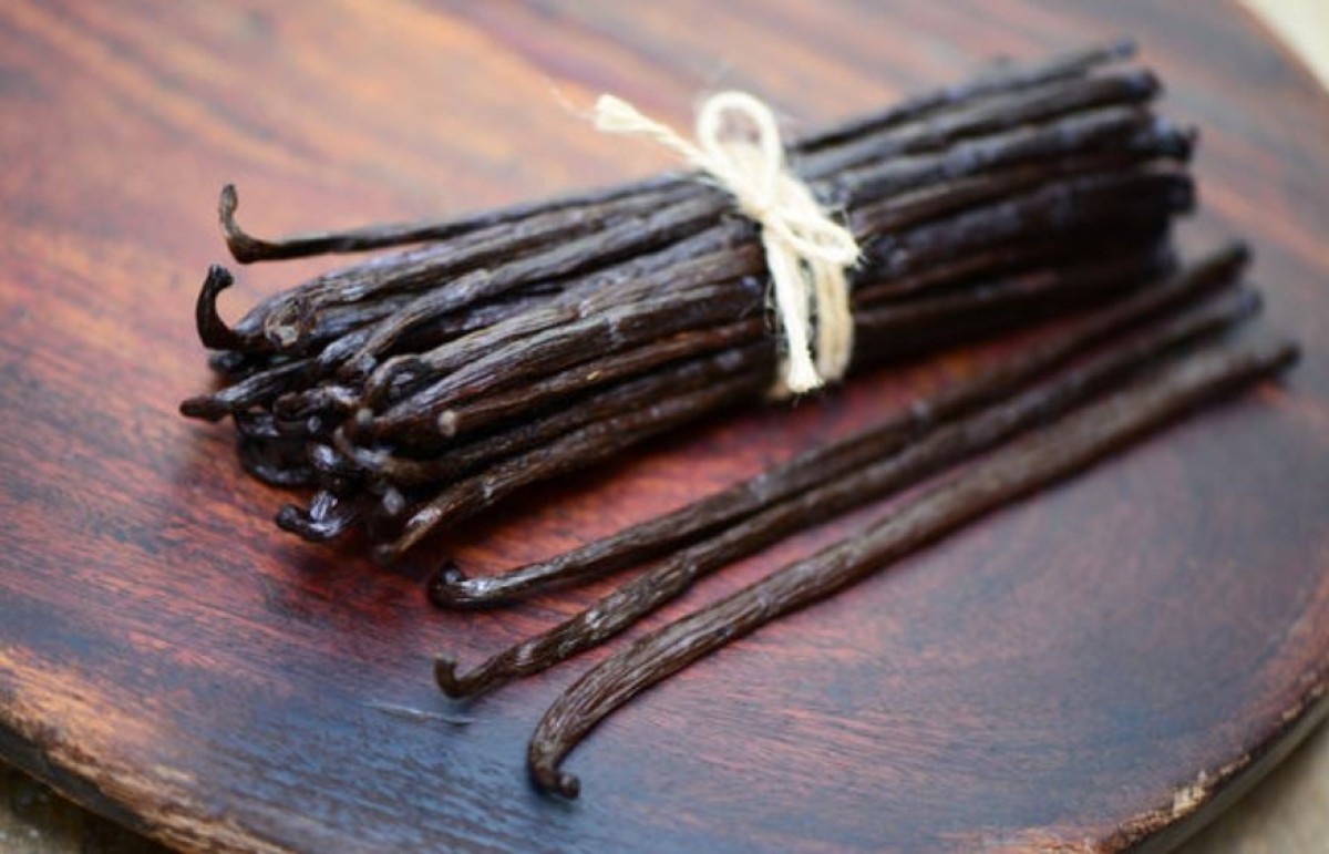 Vanilla tahitensis from Papua New Guinea